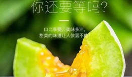 网红吃瓜打包图片大全,盘点那些搞笑又真实的打包图片大全